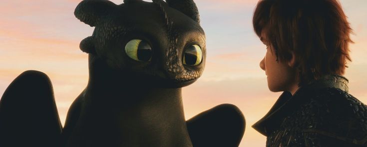 robertinha 🌷 tweet media