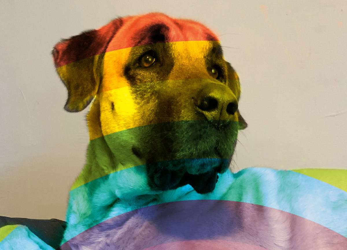 Happy #PrideMonth