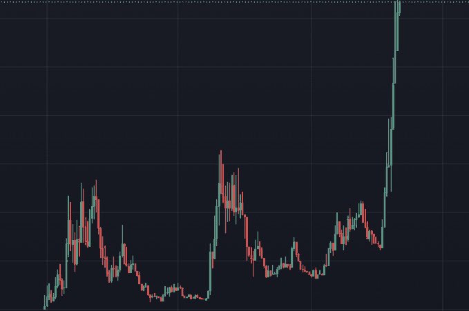 Bruca 🎪 tweet media