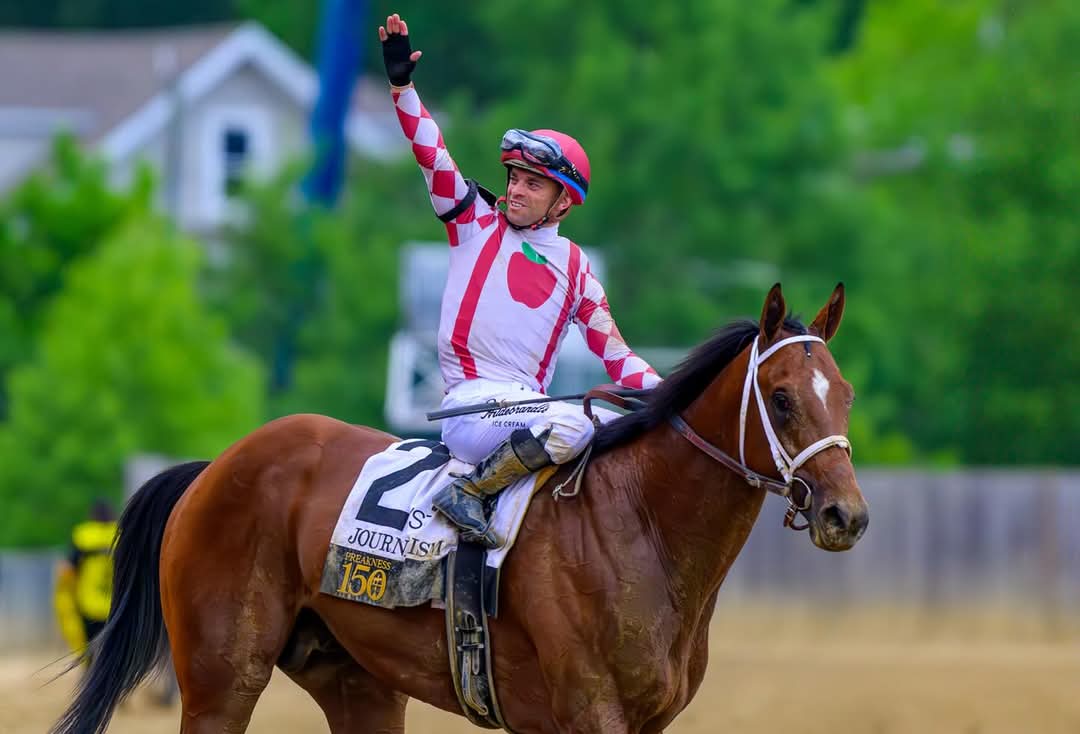 JOURNALISM briseo 800m (4f) hace rato en Saratoga sobre una pista aùn mojada, 4f los pasò en 47.2 y siguiò fuerte al rededor de la curva en 1.00 y 1.12.3... 🔥🔥🔥