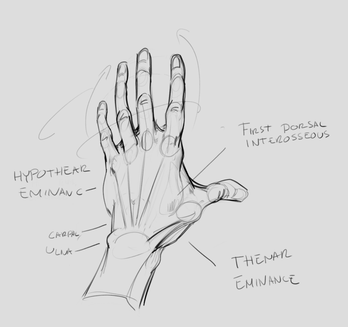 Absurd Owl (@absurd_owl) on Twitter photo 