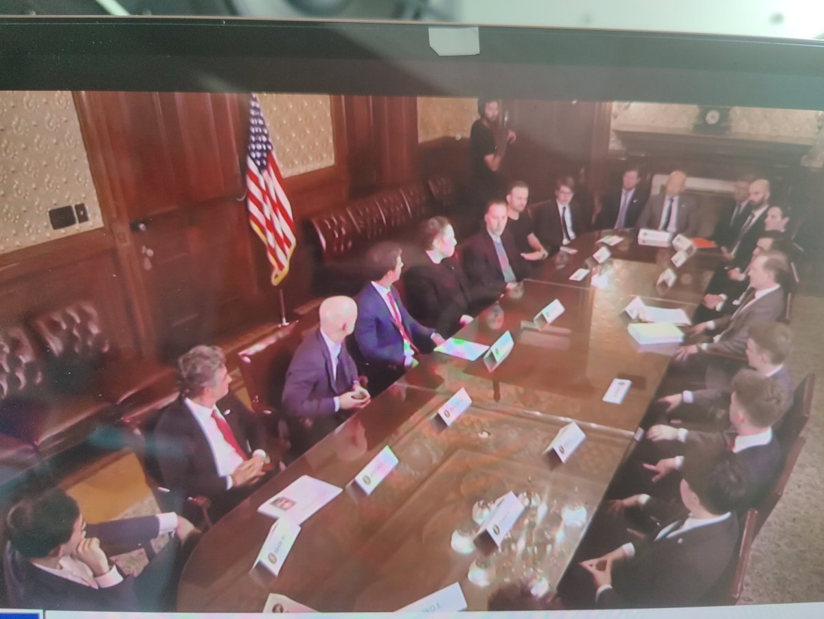 🤡 white proud boys unite 🤡