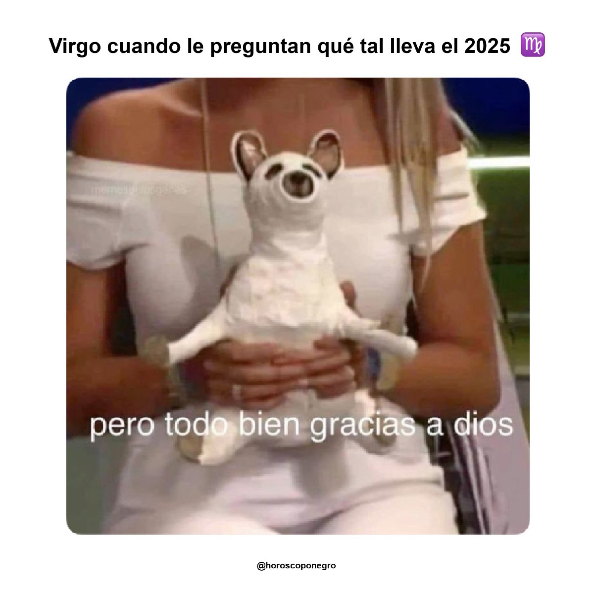 Literalmente cualquier Virgo ahora ♍️