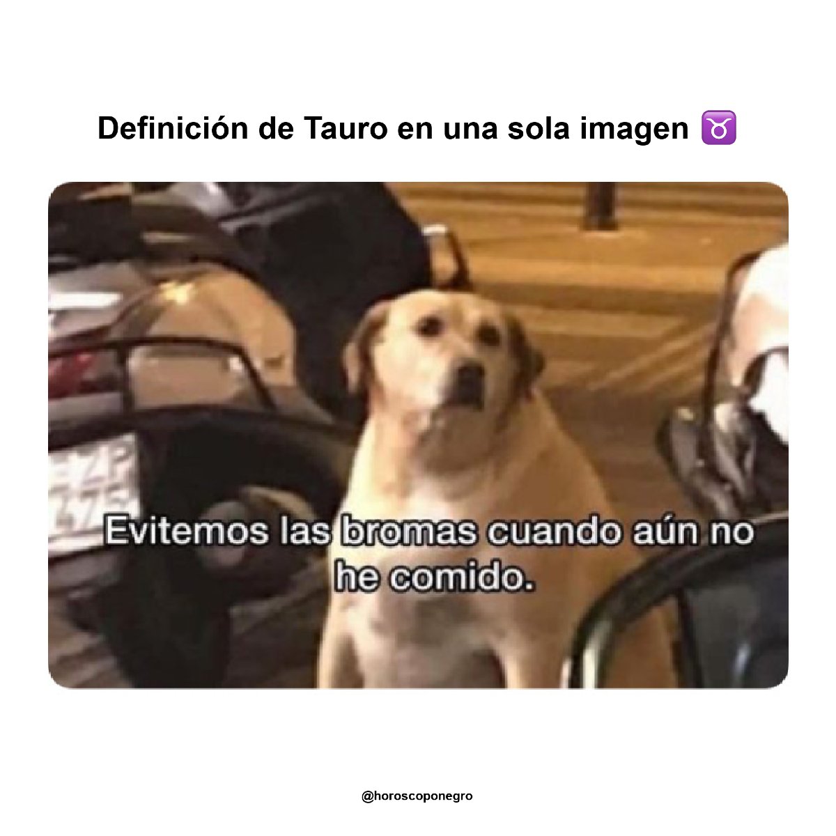 No juegues con un Tauro si tiene hambre 🤤