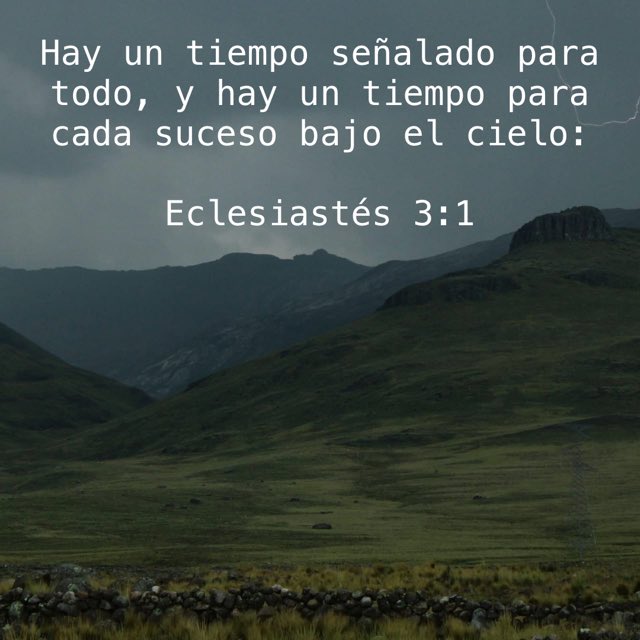 Dios está llevando a cabo Su propósito y eso implica que nada está fuera de Su control.

A veces cuesta ver o creer eso, pero la Biblia nos lo recuerda, así que descansa en saber que hay un tiempo para cada suceso, y adora al Señor, recordando que Él es bueno.