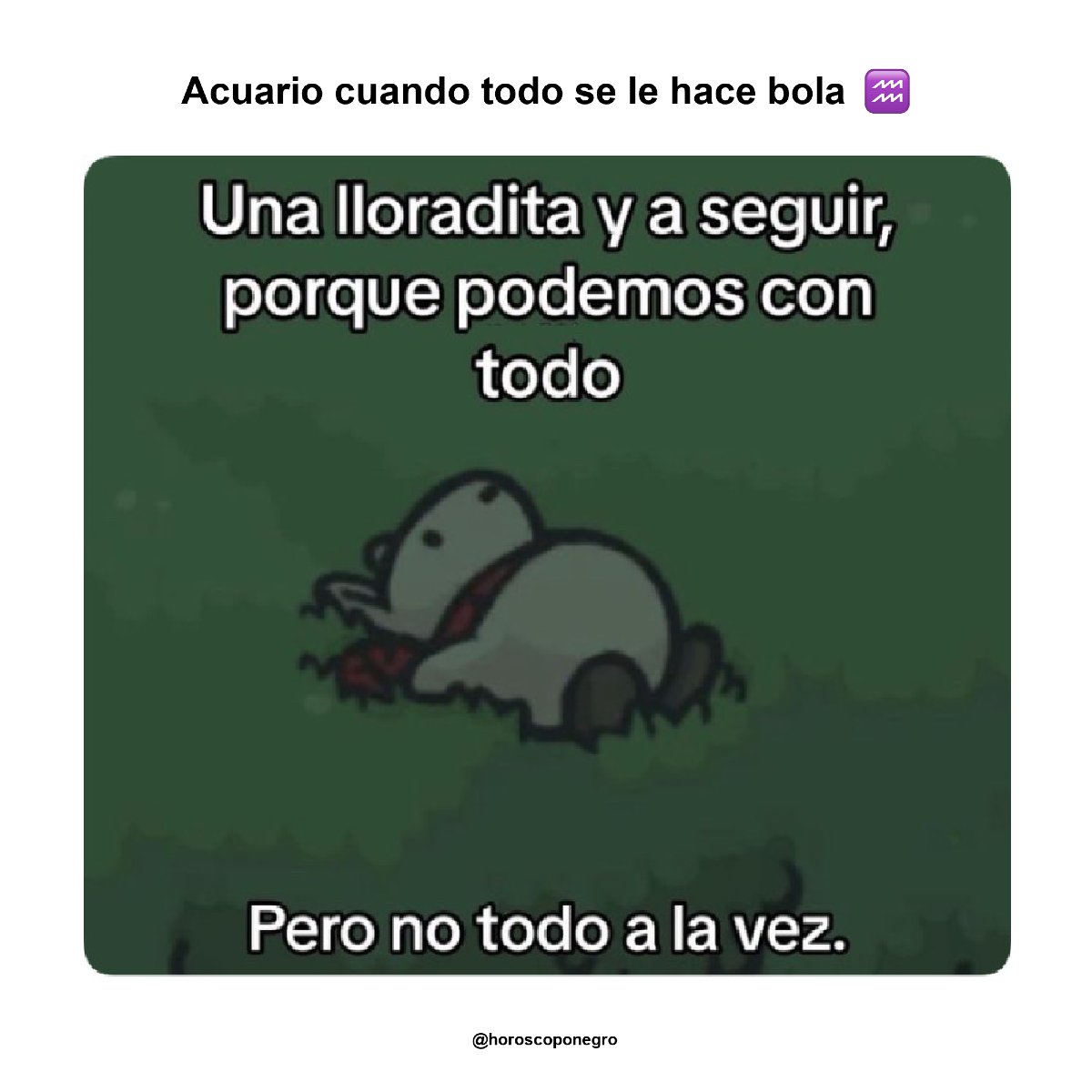 Típico de Acuario ♒️