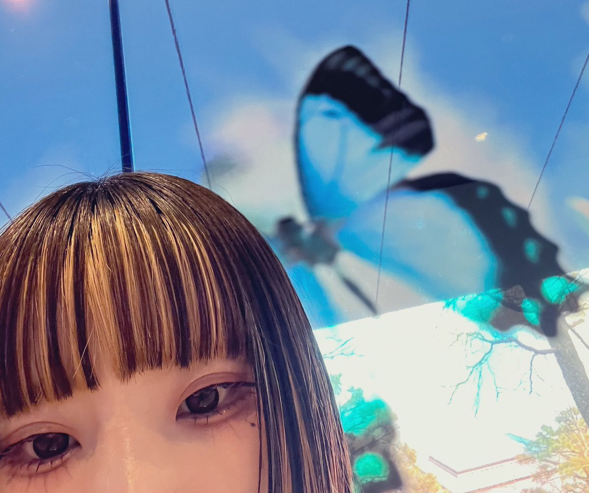 kabeko_m's tweet photo. https://t.co/k5RBxyWjkz