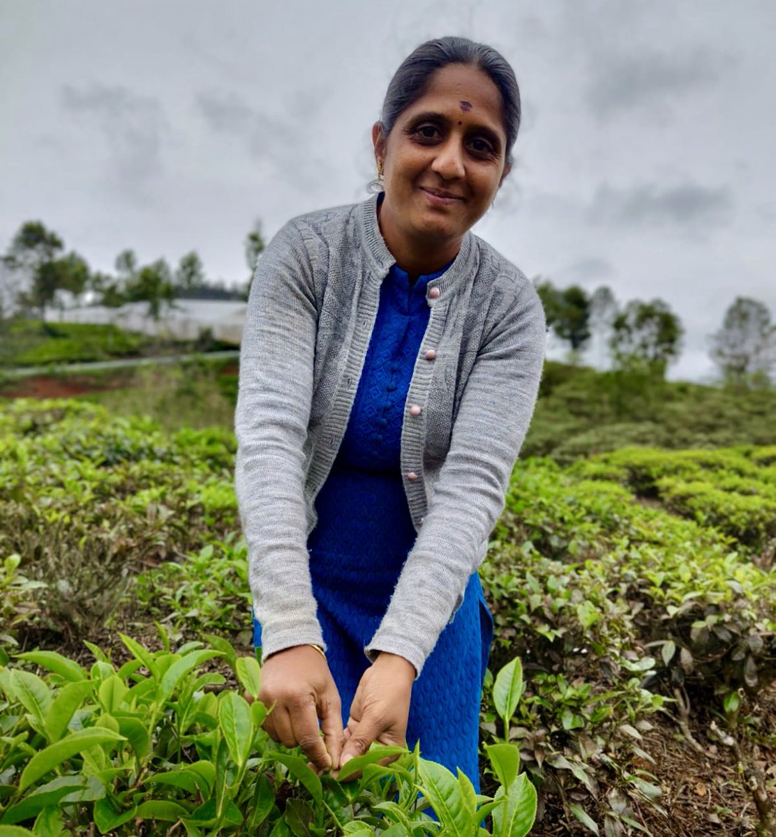 BantuDesiTeas's tweet photo. We’re honored to bring @bantudesiteas to the Paris Tea Festival! A celebration of ancestral blends, women growers, and bold botanicals.
Come see us June 15th, at the Maison Internationale. Register: https://t.co/FFEla02JMy
#BantuDesiInParis #ParisTeaFestival #TeaWithPurpose https://t.co/mG8wLHvHD2