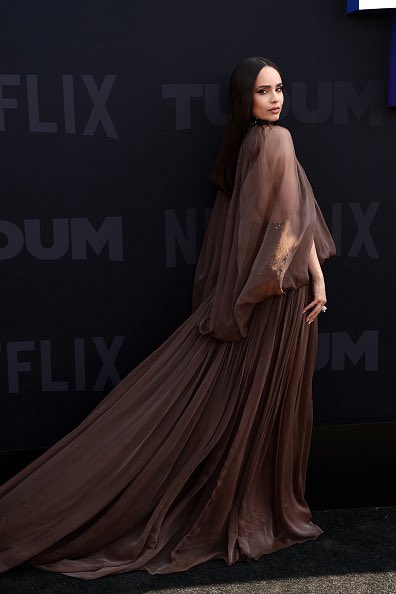 Charts_sofia's tweet photo. @SofiaCarson @DidSofiaCarson He’re some others photos of Sofia Carson from #TUDUM red carpet 🤎 https://t.co/c9gTWBQVK7