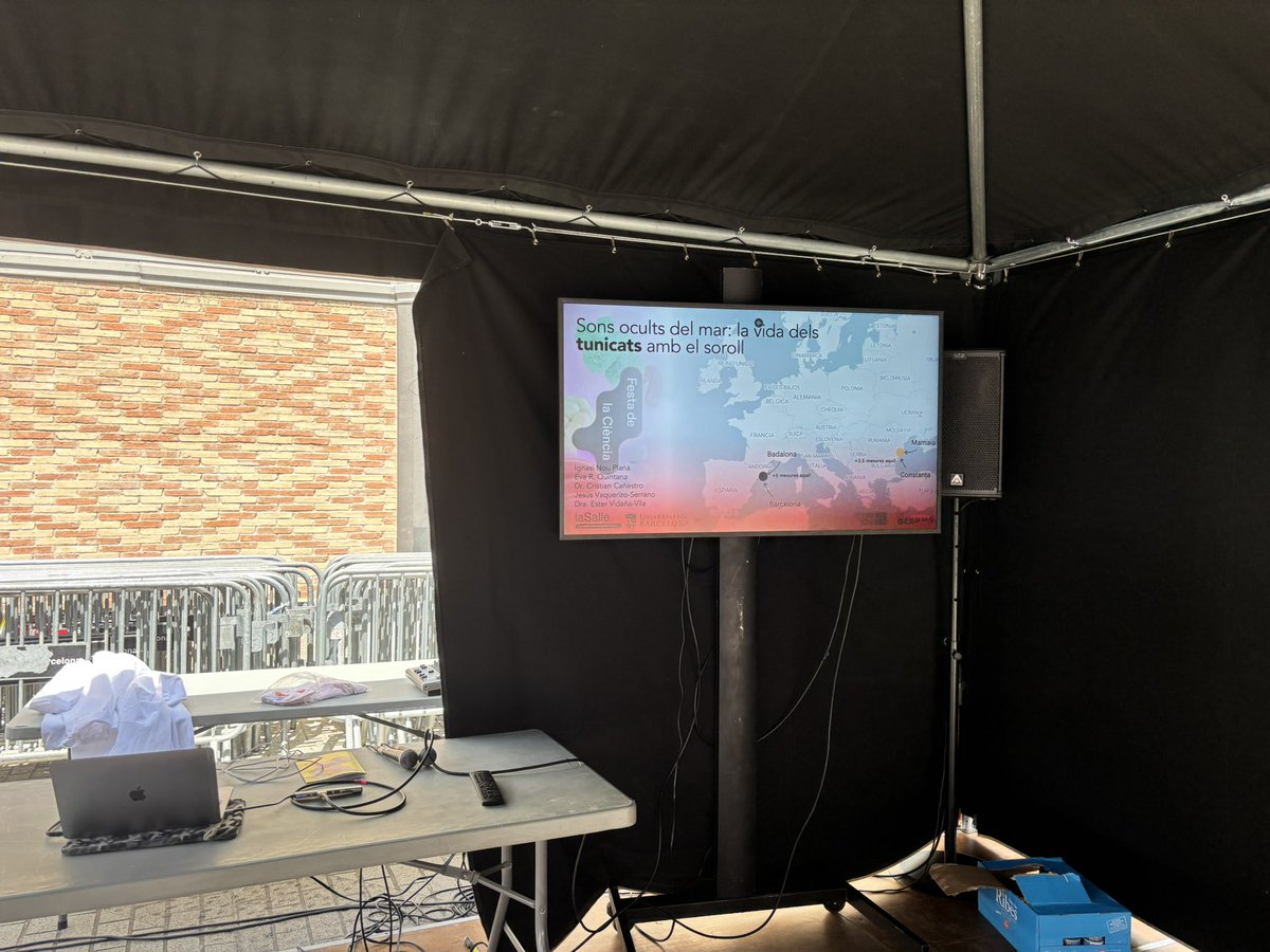 Ester Vidaña tweet media