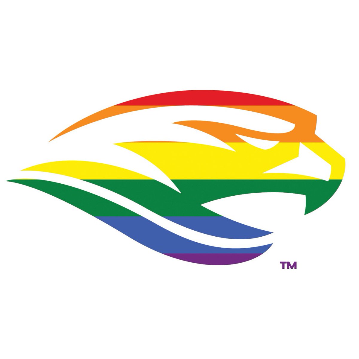 Happy June! Let your true colors shine through! 

#ALLIN x #GOSUSQU x SURIVERHAWKS.COM