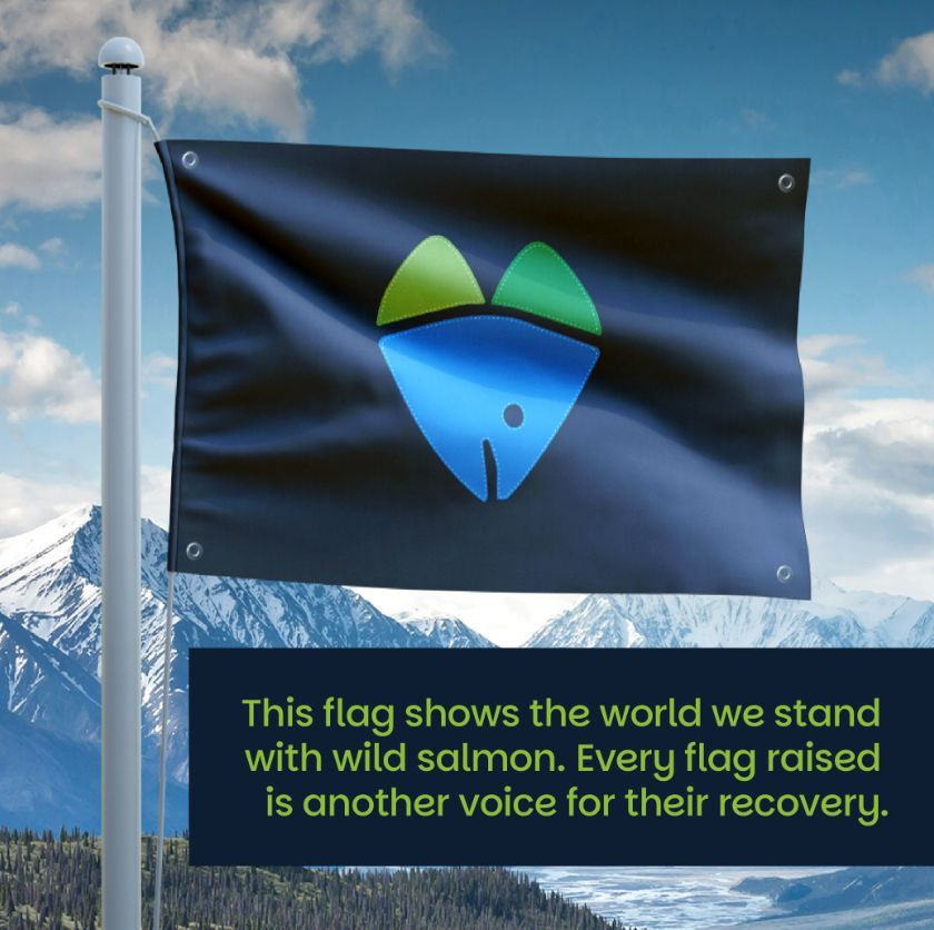 🐟 Today is #WildSalmonDay! 

Wild salmon sustain entire ecosystems and communities around the world. But they’re in crisis. We're proud to be part of the Missing Salmon Alliance fighting for cold, clean waters, and to #RaiseTheFlag today for wild salmon: wildsalmonday.com