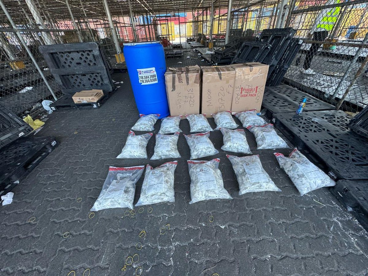 <a href="/DNCDRD/">Dirección Nacional de Control de Drogas</a> #DNCDRD
<a href="/deverscarlos/">Carlos Devers.-</a> #deverscarlos #luisabinader #Abinader #imparcialrd
DNCD incauta más de 700 guantes quirúrgicos llenos de marihuana ocultos en pañales en Puerto Haina imparcialrd.com/2025/06/dncd-i…