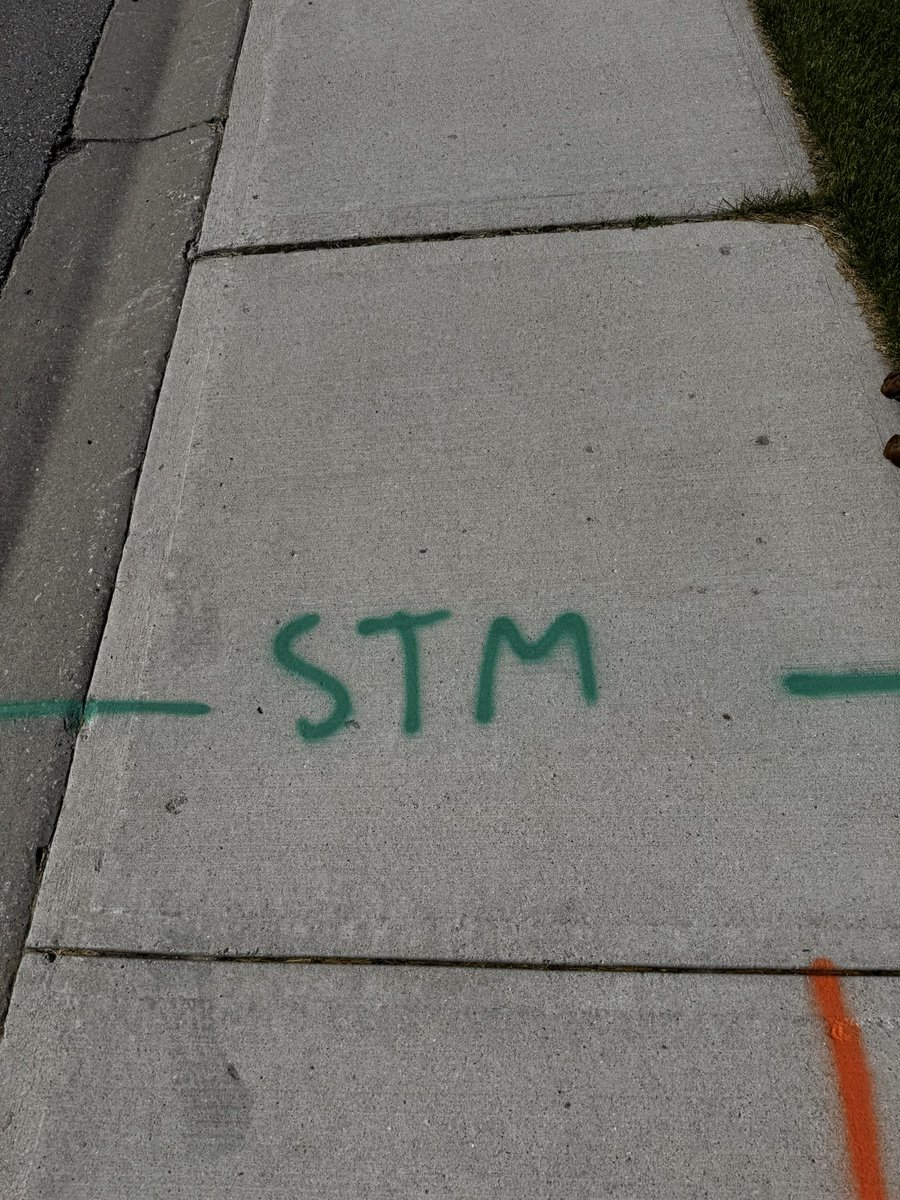 Mikki Reed tweet media