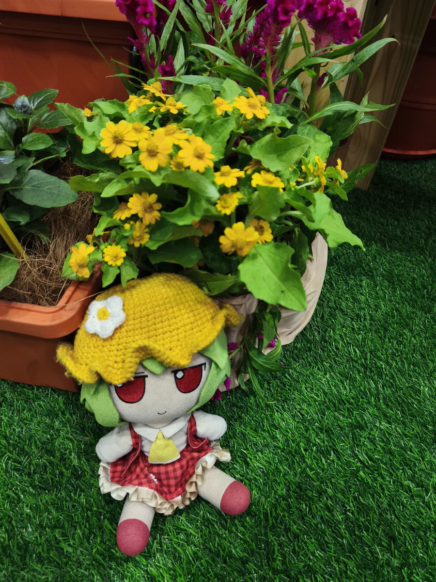 CirnoFumoTan's tweet photo. "Mama Yuuka & Smol Ame at Showtech Mardi 2025."
Yeah, the two originally went for plants and fruits hunting. Ended up playing with the chickens instead.
#mamayuuka #yuukakazami #smolame #touhou #fumo #holoplush #hololive #plushies #mardi #maeps #showtechmardi2025 https://t.co/LC4GeY9ICK