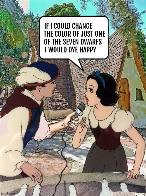 Alexander Burns (@_alex_burns_) on Twitter photo 