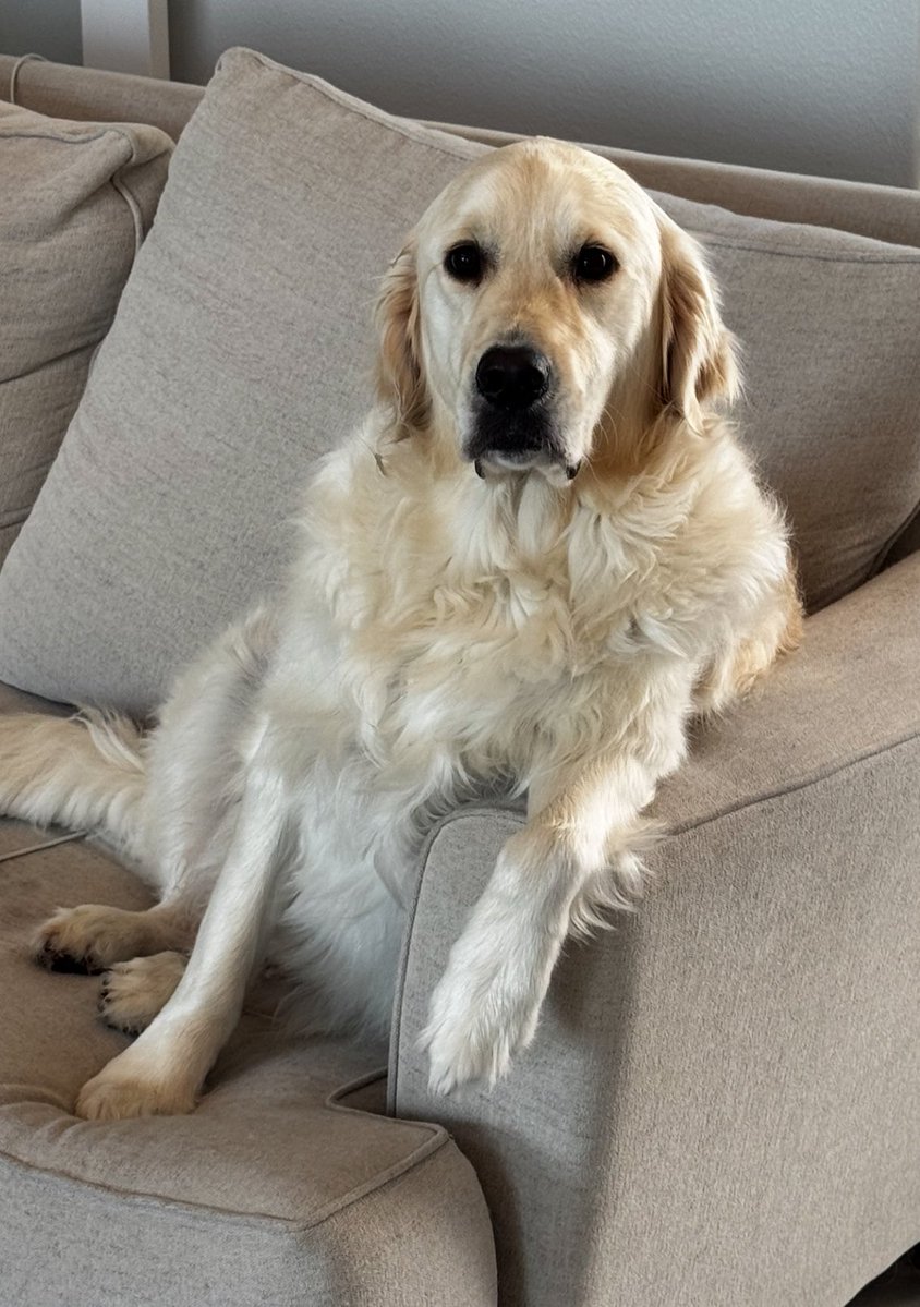 My dude relaxin on a Sunday am.