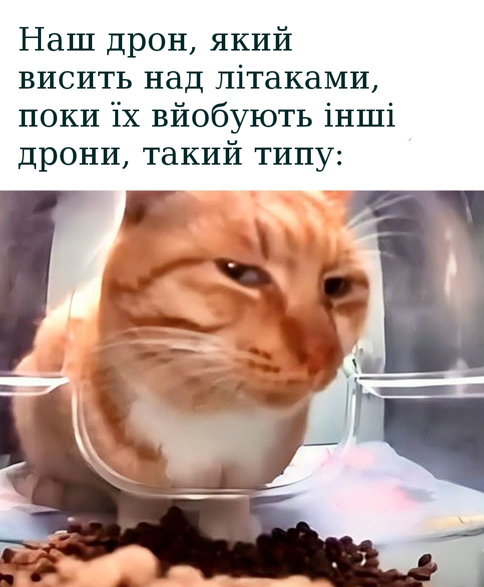У сьогоднішнього дня великий #мем-ний потенціал