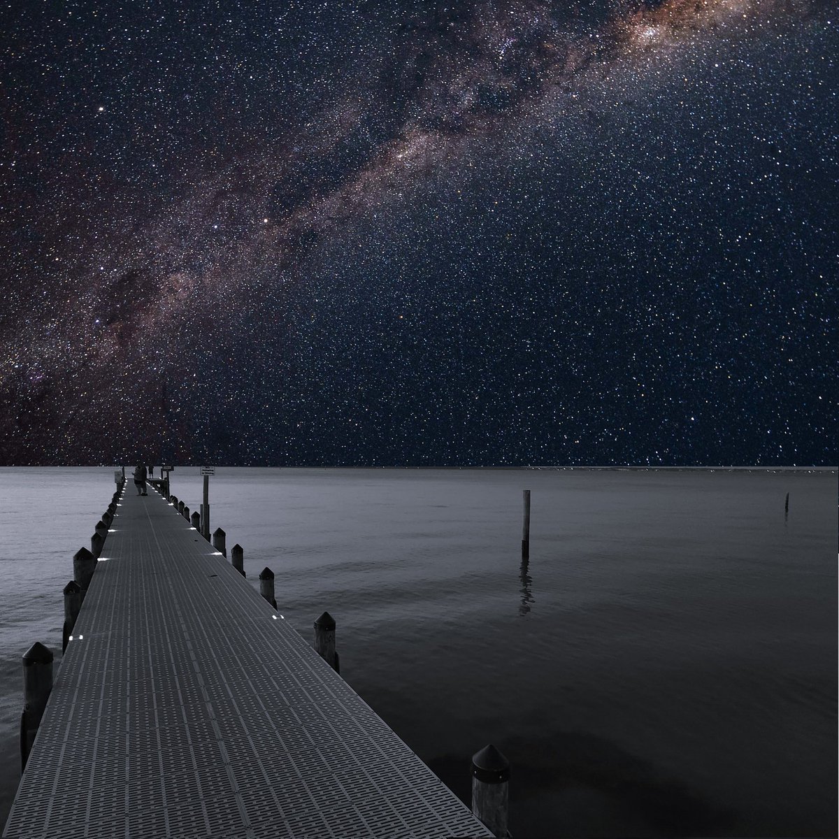 Brannan Lane tweet media