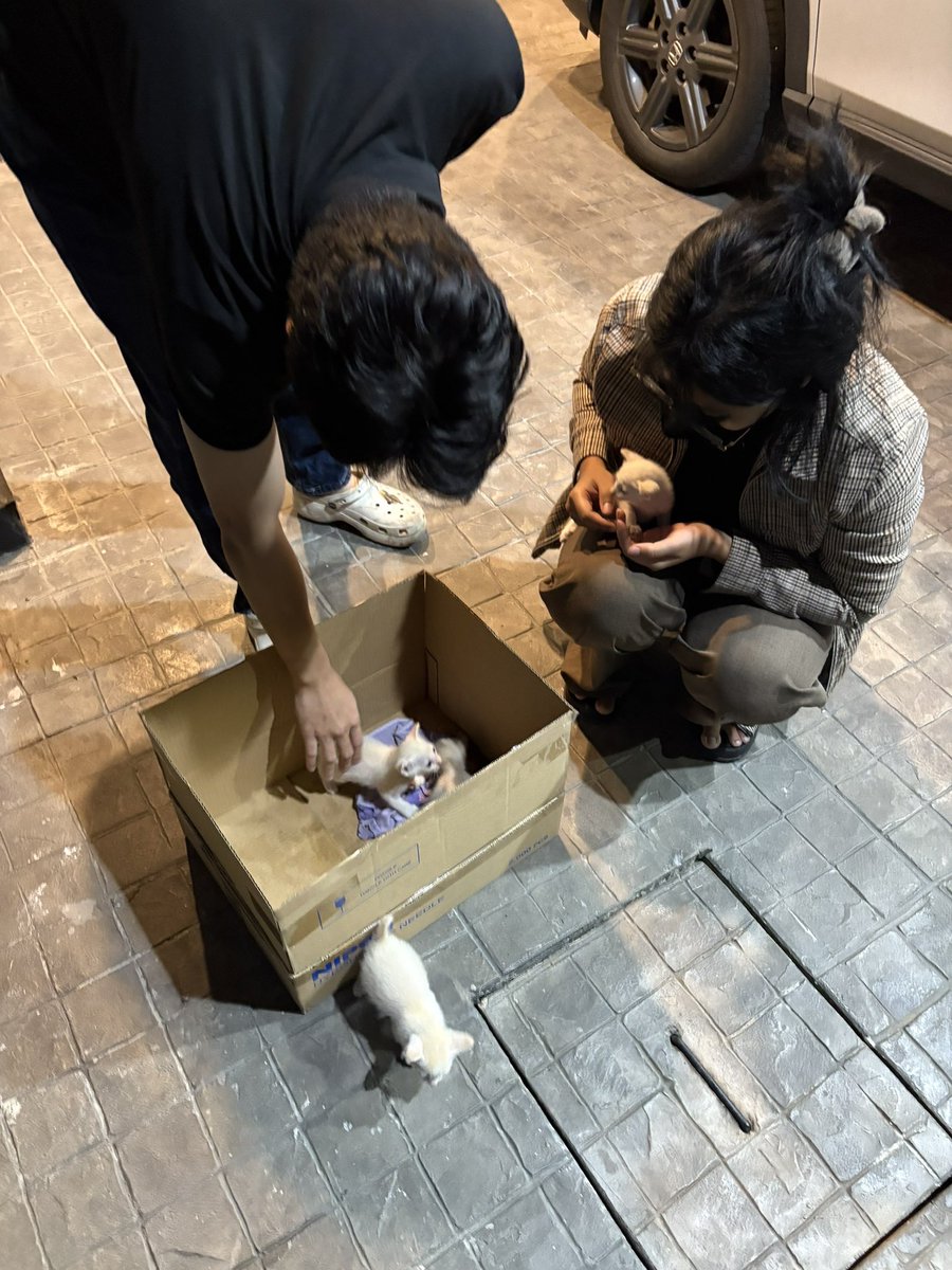 คนไข้จากบางแสนมารับดูแลไป 1 เหลืออีก 3 ตามหาบ้าน