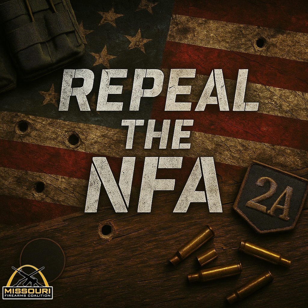 Tyranny grows in silence.
Raise hell. #repealthenfa #abolishtheatf