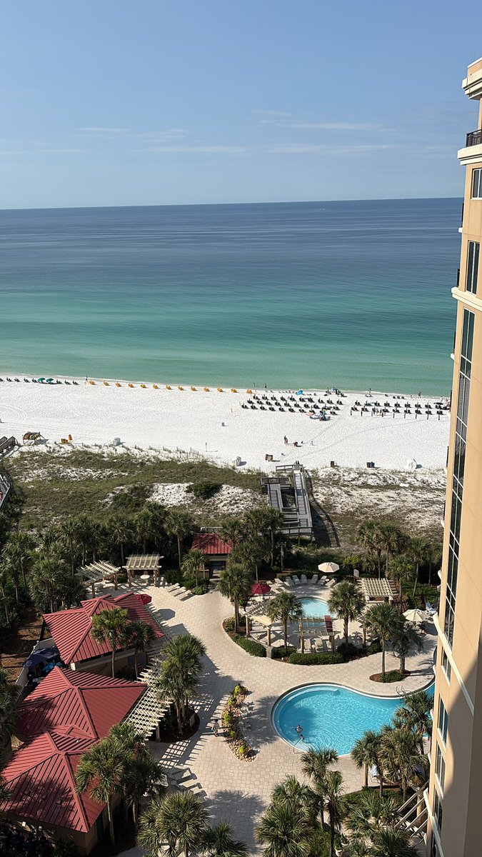 View for the week.