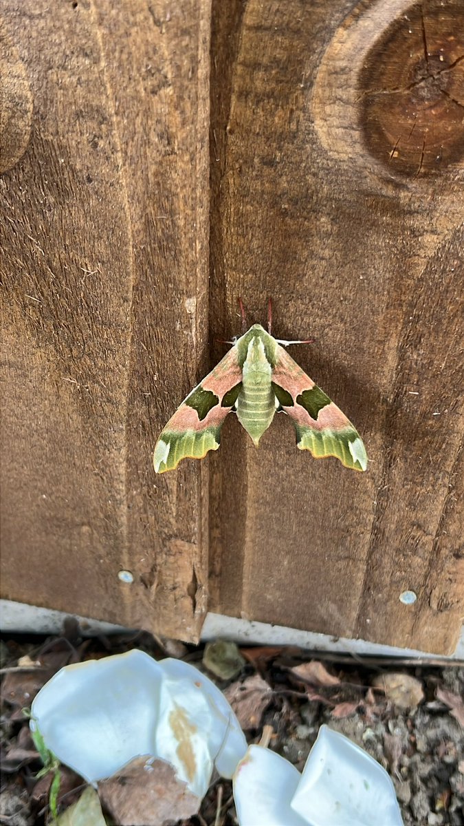 <a href="/TheOfficialGRB/">Gary Burton</a> Absolutely!