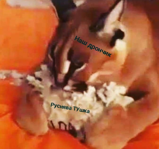 #Мем