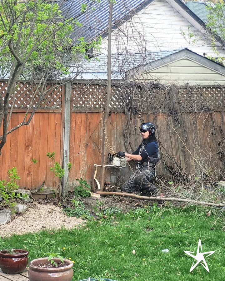 silverstartree's tweet image. 🌿 Clearing the Way, One Cut at a Time
Precision tree removal in tight backyard spaces, handled safely and professionally.

Visit us at silverstartree.com for expert tree care solutions. 

#TreeRemoval #BackyardCleanup #TreeCareExperts #TreeService #ProfessionalTreeCare