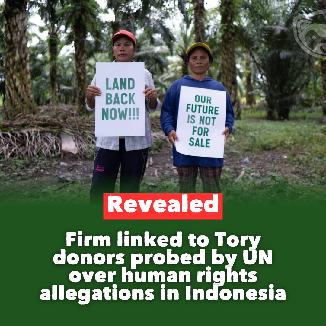 The UN says a palm oil company ultimately controlled by Jardine Matheson may be violating Indigenous land rights in Indonesia. The firm’s owners have donated millions to the Conservatives and Better Together.

Our latest: bit.ly/43zDZ0Q
