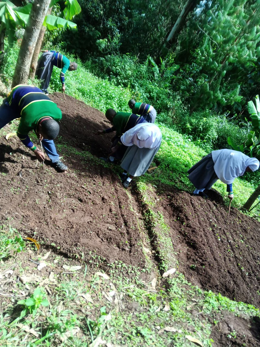 GlobalKilimo's tweet photo. Our students are growing more than just vegetables — they’re growing climate leadership 🌱💪🏾 Big thanks to @ClimateKIC for supporting youth-led action through smart gardens. Real skills, real impact. 💚🌍 #KilimoSmart #ClimateAction #YouthInAction https://t.co/IdkE9awO4z