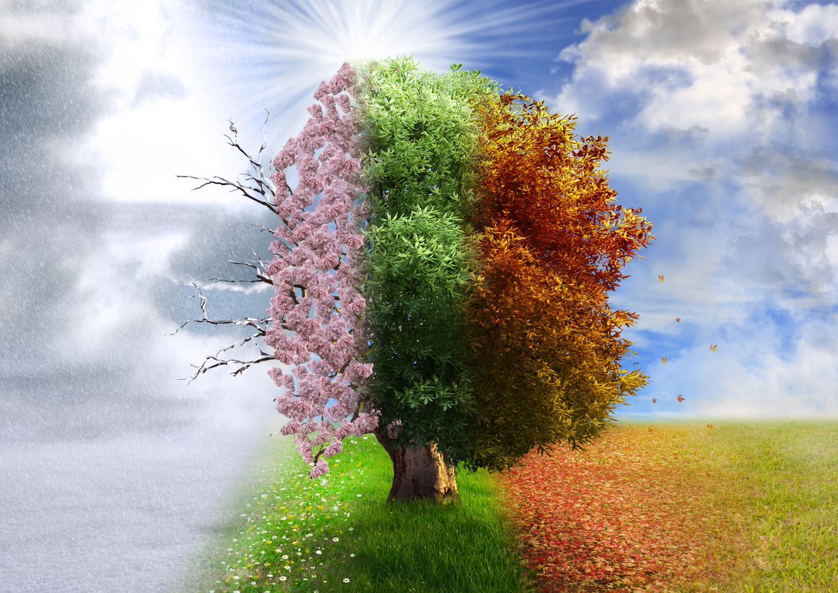 Happy first day of summer! Well, only if you’re a meteorologist. Meteorologists prefer the consistent, 3-month blocks of meteorological seasons for tracking weather trends and climate stats year to year. 
🔭 Astronomical – based on Earth’s orbit (equinoxes &amp; solstices)
🌡️