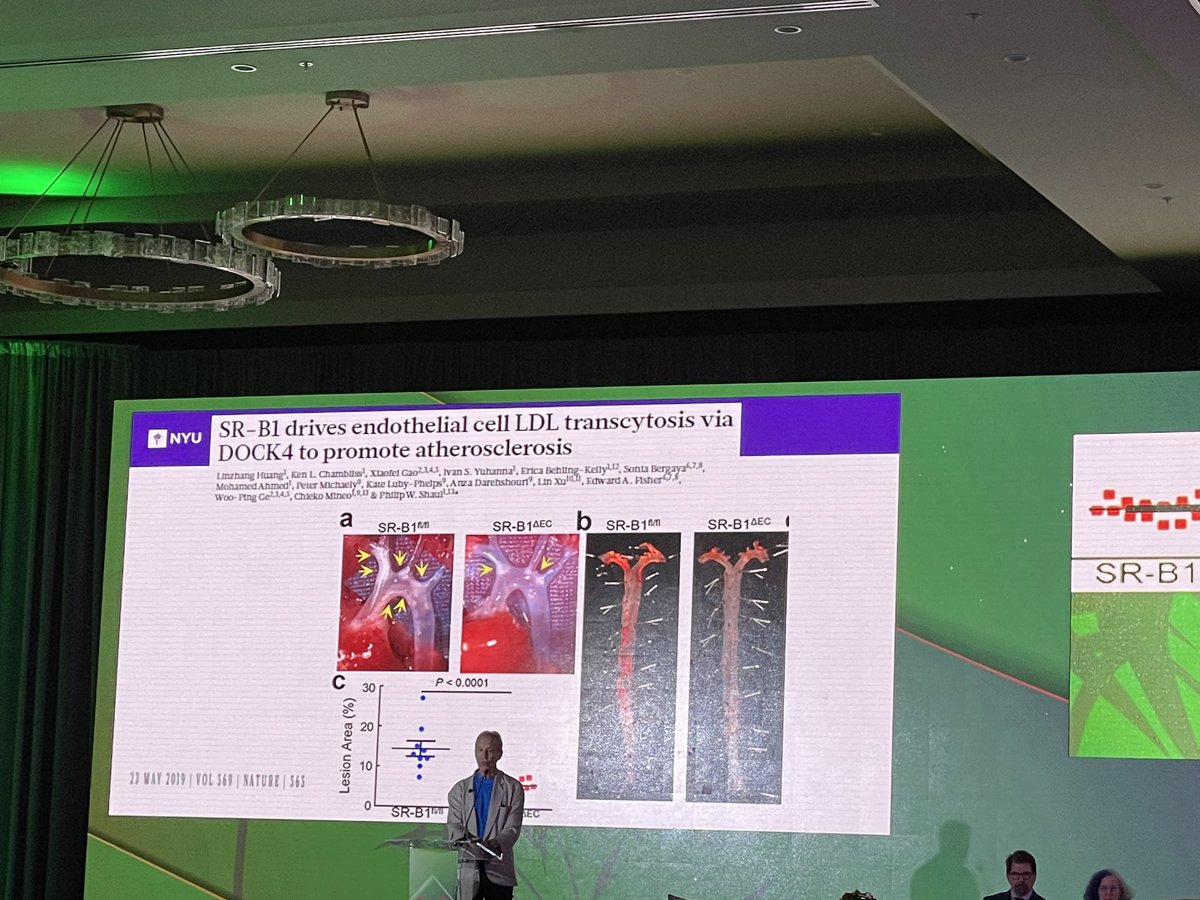 Rahul Rege, MD tweet media