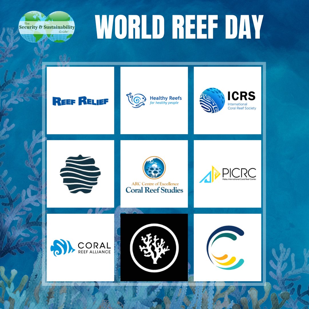 🪸 This #WorldReefDay, we celebrate the vibrant ecosystems beneath our oceans and the organizations working tirelessly to protect them.

🔗 Learn more about these organizations and their conservation efforts here: securesustain.org/search-the-gui…
