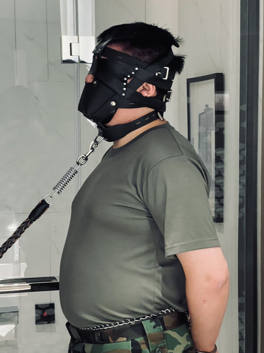 Maul 猫虎 tweet media