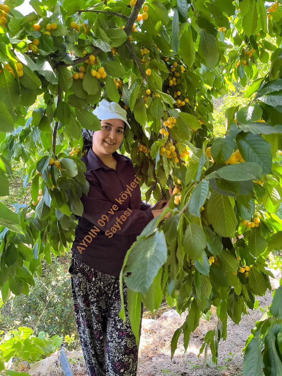 Mutlu keyifli akşamlar 💙💙