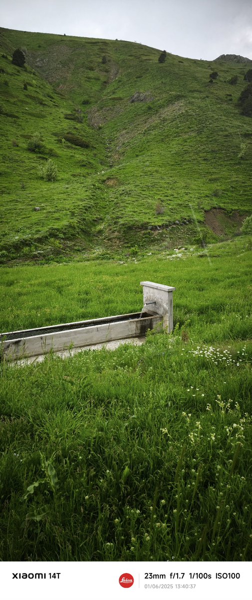 Çapa vurulmadık bu topraklara, 
İlkbaharda tohum ekilir bir gün.. 🎵