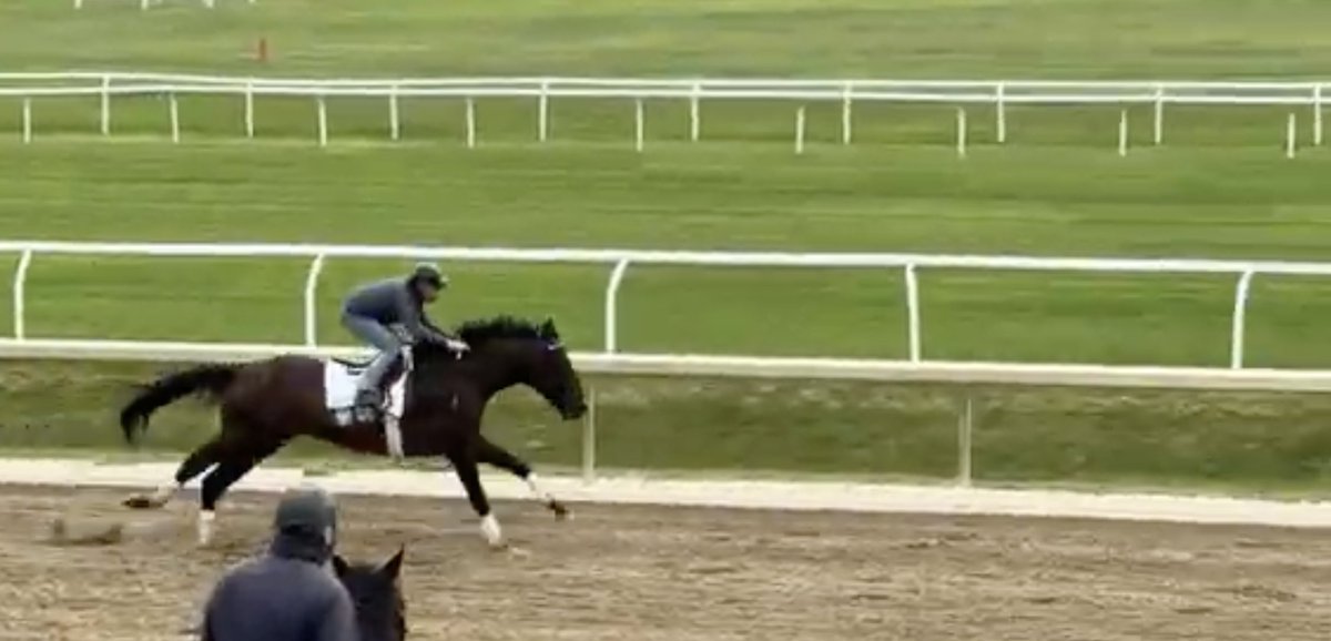 Racingwithbruno's tweet photo. If If If ..... A Belmont Primer #withtheworks with exclusive videos of Journalism and Sovereignty final works this morning #spa25 .... https://t.co/fnnHonYLRO https://t.co/X2J6IFQW7U