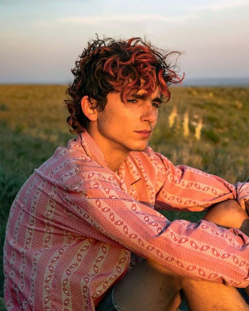 Happy Pride Month! The Chalamet fandom is particularly special because we have a large gay fanbase due to the critically acclaimed performances of Timothée Chalamet in his Oscar nominated role as Elio in 'Call Me By Your Name', and his haunting and brilliant performance as