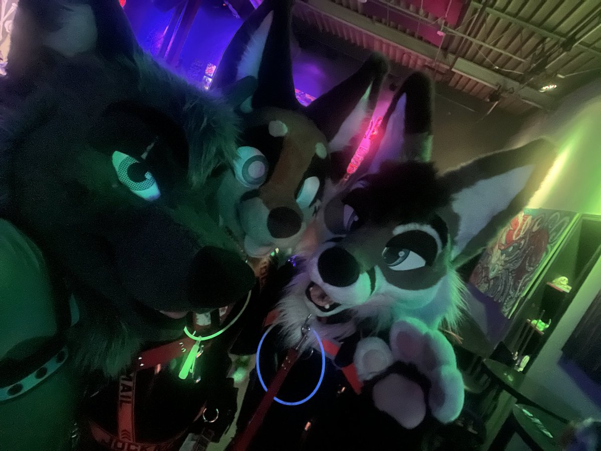 ๐บ Wolfe ๐พ ๐ณ๏ธโ๐๐ฆ๐ซ๐บ๐ฆ ๐FWA (@furrwolfe99) on Twitter photo Met <a href="/anjiiyaps/">anjii fckng yaps!๐ฆ๐ชถ๐ถ</a> <a href="/Nate_Bones/">Natey</a> while at <a href="/madisonfang/">โกFANG!โก(9/27)</a> last night! Love seeing how this event keeps bringing new faces out to our neck of da woods! :3 Met <a href="/anjiiyaps/">anjii fckng yaps!๐ฆ๐ชถ๐ถ</a> <a href="/Nate_Bones/">Natey</a> while at <a href="/madisonfang/">โกFANG!โก(9/27)</a> last night! Love seeing how this event keeps bringing new faces out to our neck of da woods! :3