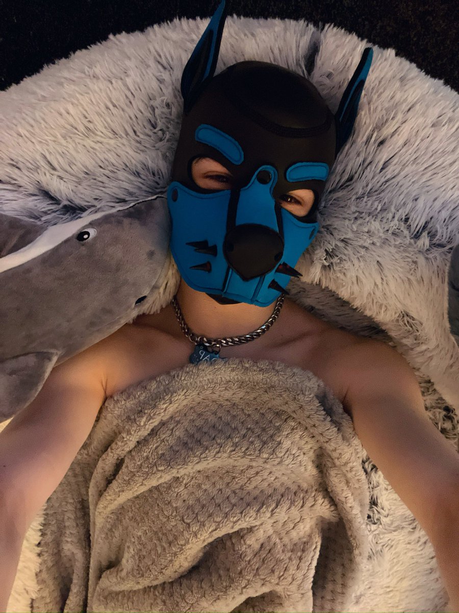 All I want is cuddles please 

🥰🤗