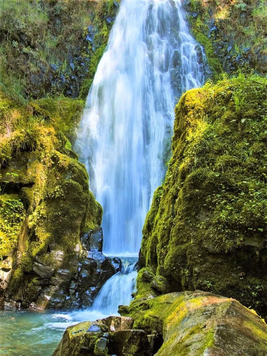 RoadtoNature88's tweet photo. Susan creek  falls  oregano  USA https://t.co/FuDTuPrXGZ