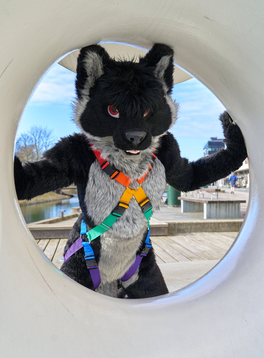 ❤️🧡💛💚💙💜
HAPPY PRIDE MONTH

Added a new rainbow harness design to our website! :)

More rainbow harnesses: tinyurl.com/4f7xm7ne