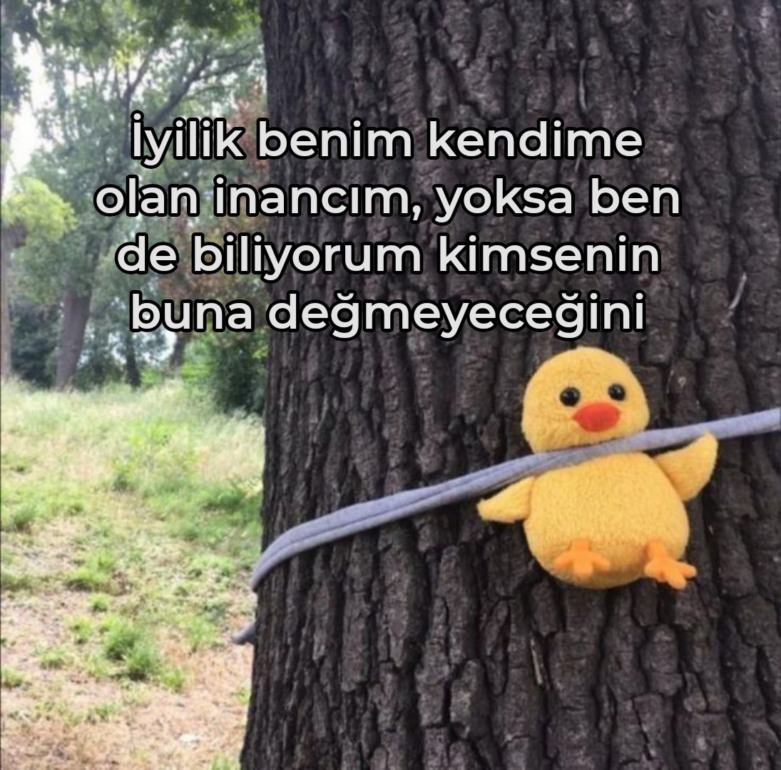 ︎Mutsuz (@100de100mutsuz) on Twitter photo 