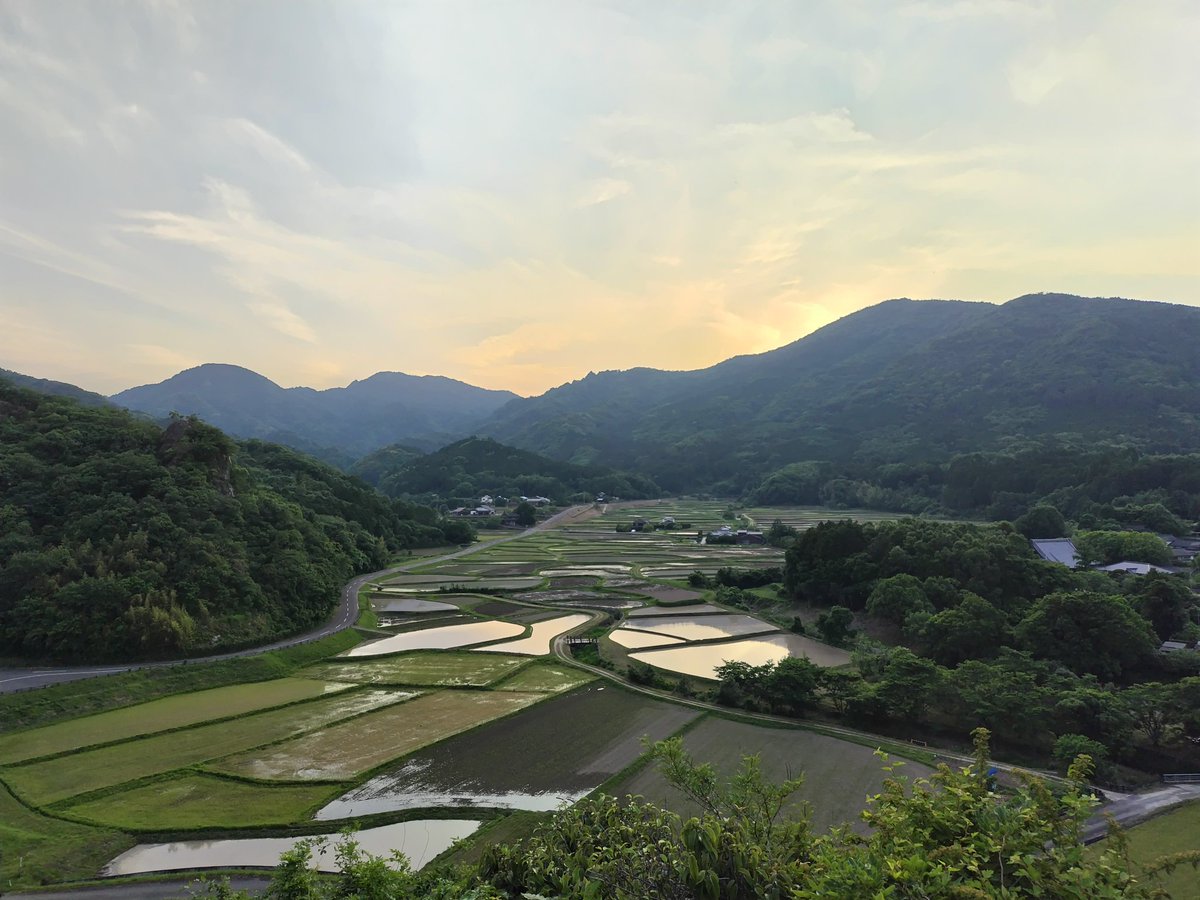 #田染荘 の7割以上の田に水が入っています。 #荘園 #夕景 #重要文化的景観