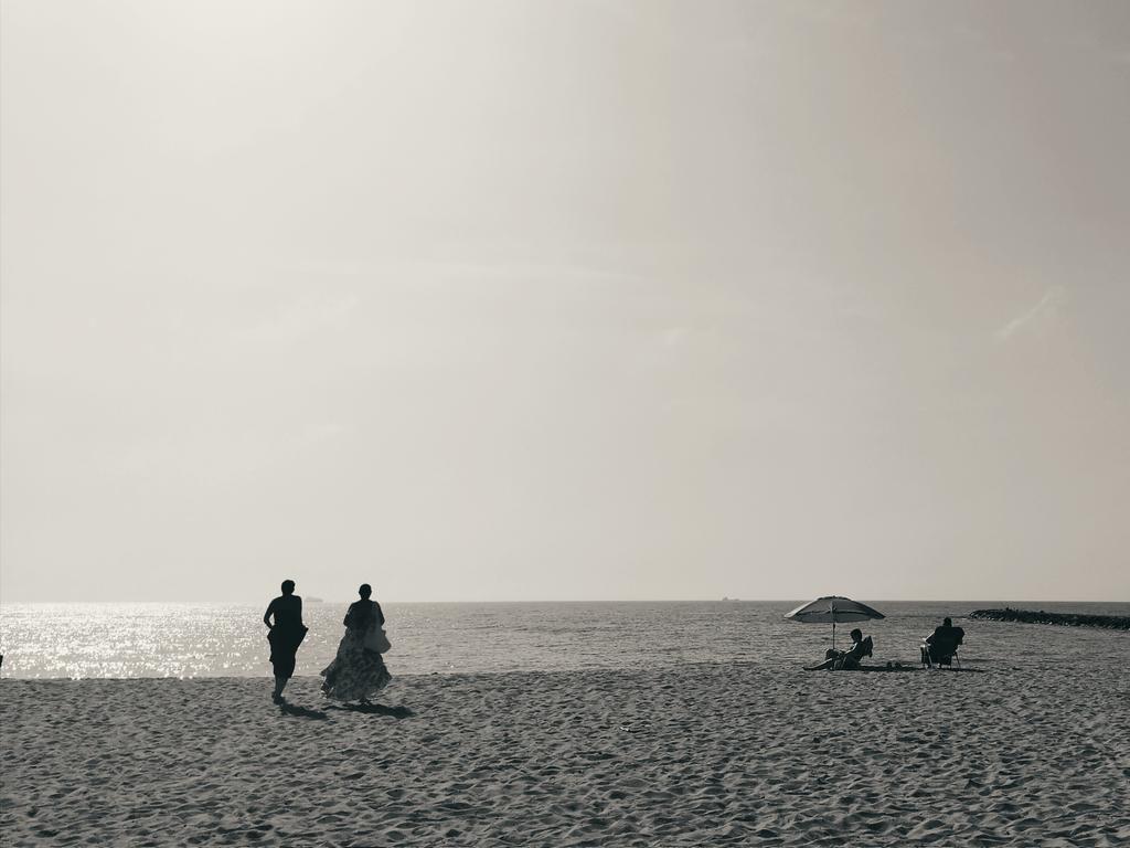 Sinopsis tweet media