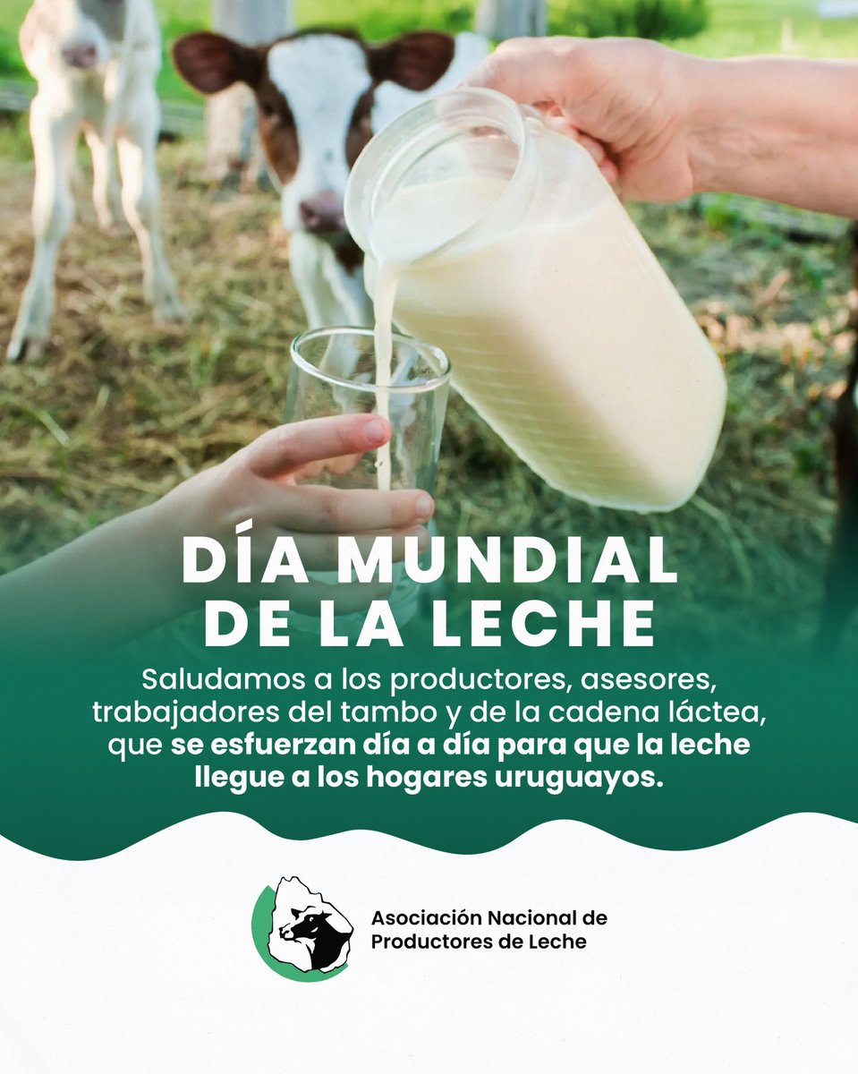 anpl_uy's tweet photo. ¡Feliz Día Mundial de la Leche! 👩🏽🌾👨🏼🌾🥛🐄 Hoy saludamos a todos los/as trabajadores de la cadena láctea uruguaya, que se esfuerzan incansablemente para que la leche llegue a los hogares uruguayos.
#ANPL #FamiliaTambera https://t.co/s1fw2F2LaQ