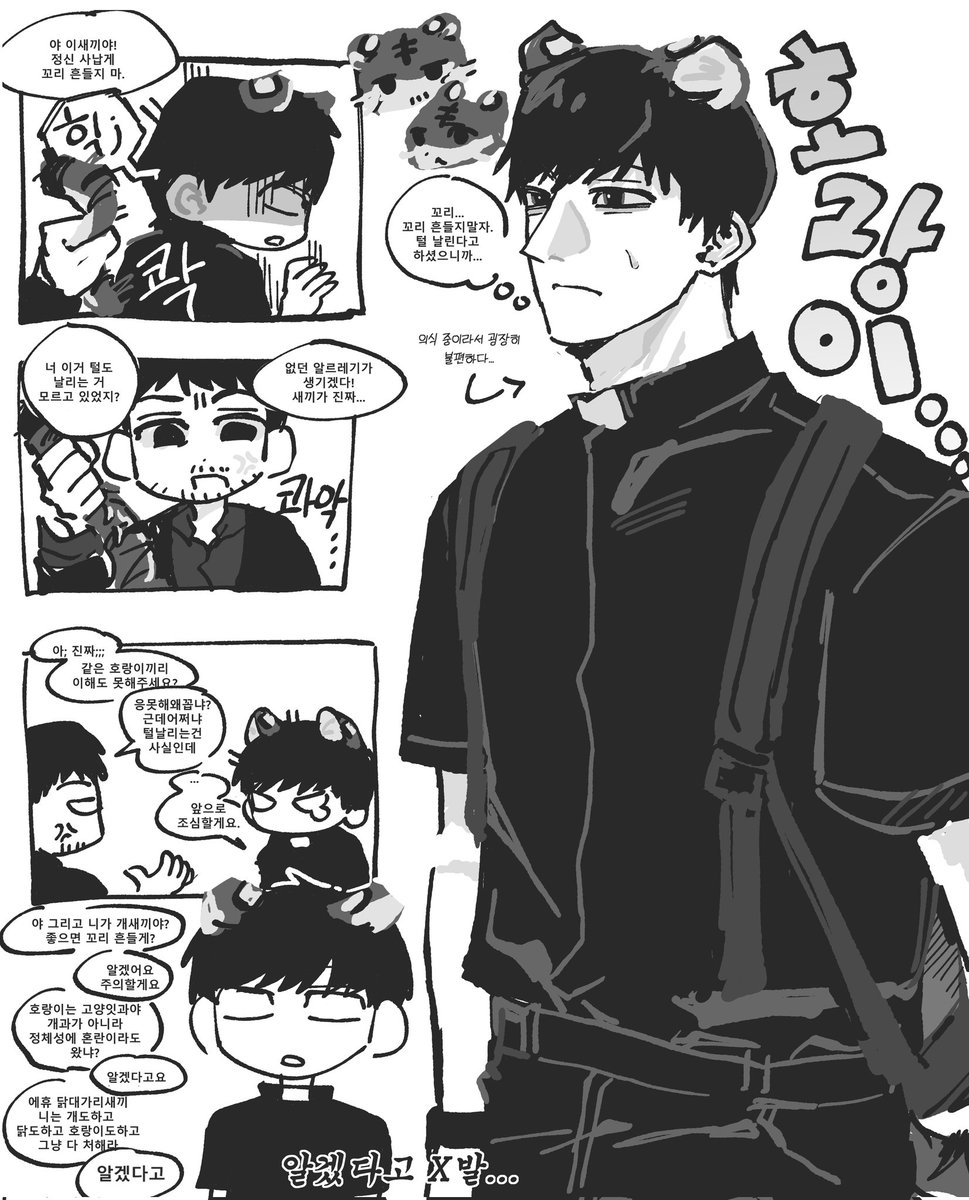 전세 tweet media