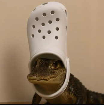 jazzy_mik's tweet photo. $Crocs 
CA : 28PvYPbQdBcpRwwNobRrWUqUkFQ2hwgZc3tLu1Qhpump
Done : x 82
This call we had in my channel
🔗 TG Chanel : https://t.co/VIGikSaMg6
#SOL #MEMECoin #TurboXBot #TurboXTradingBot #TurboX https://t.co/wSlkubdT0m