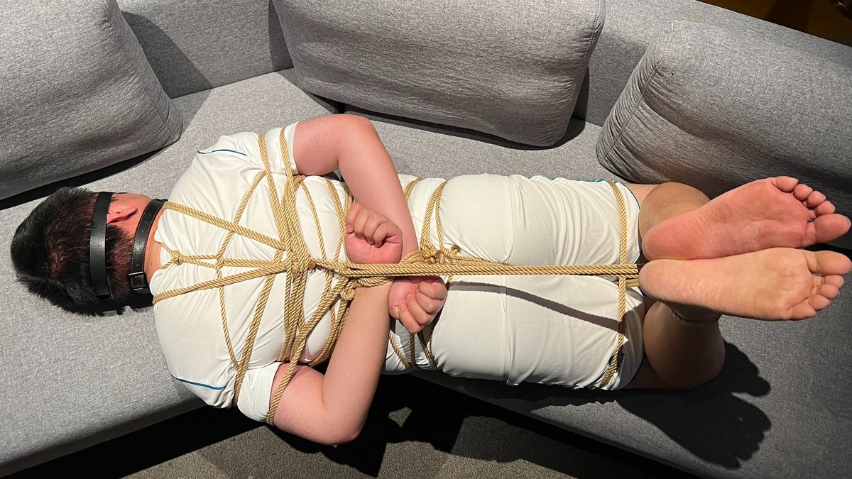 Maul 猫虎 tweet media